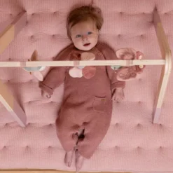 Little Dutch Babygym Met Speeltjes Flowers & Butterflies -Little Dutch little dutch babygym met speeltjes flowers butterflies 1