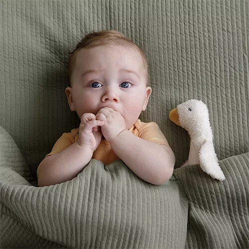 Little Dutch Knijprammelaar Little Goose 4 Little Dutch Knijprammelaar Little Goose - Afbeelding 2