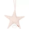 Little Dutch Muziekdoosje Ster - Little Pink Flowers